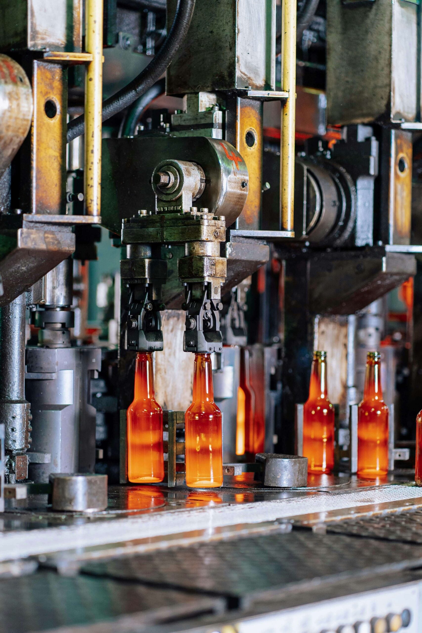 Automated bottling process in factory