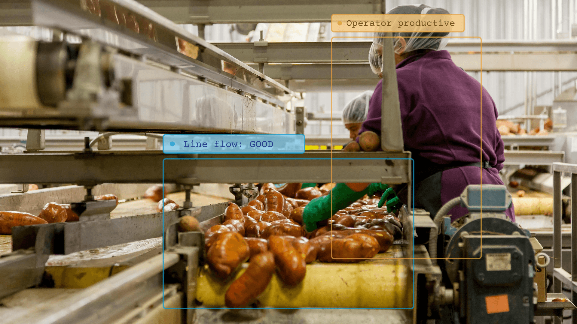 Workers processing food in factory setting